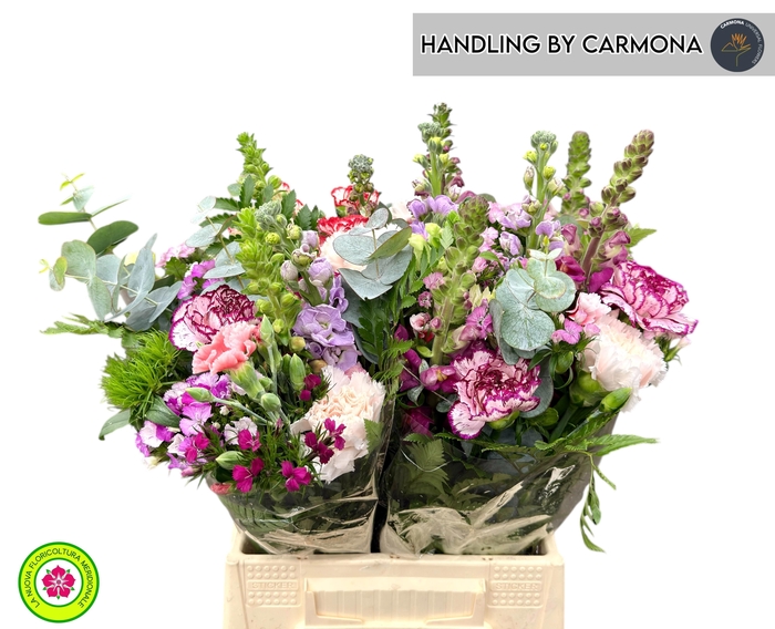 <h4>GEM BOEKET OV</h4>