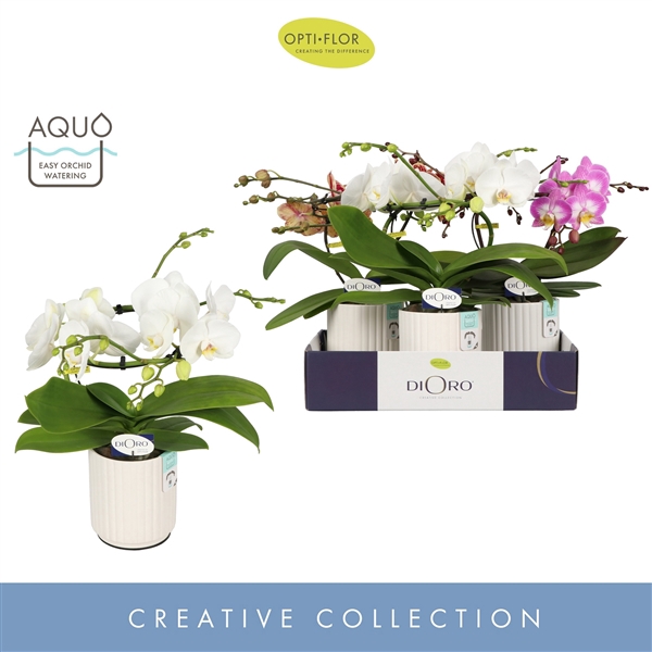 <h4>Dioro Mix 2 spike in Molise White Aquo</h4>