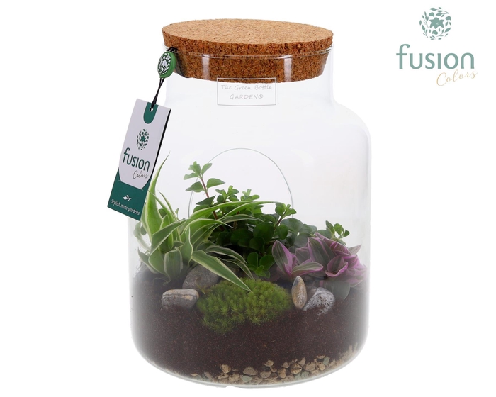 <h4>Green Bottle Pot Medium met Groen planten</h4>