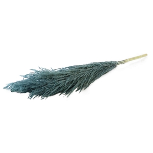 Bunch Pampas Grass 8 Pcs Slv L120