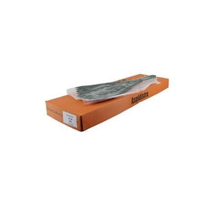 Aspedistra 70cm V P Queens