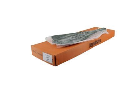 <h4>Aspedistra 70cm V P Queens</h4>