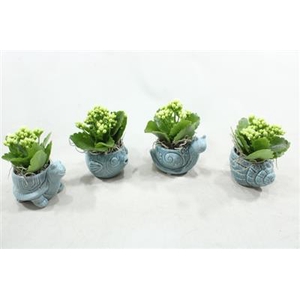 8029 KAL. BLAUWE DIEREN MIX