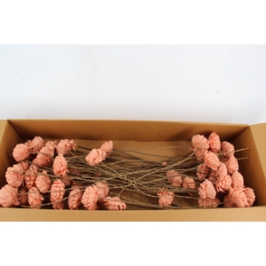 Stick Shola Artichoke Ø12 Salm