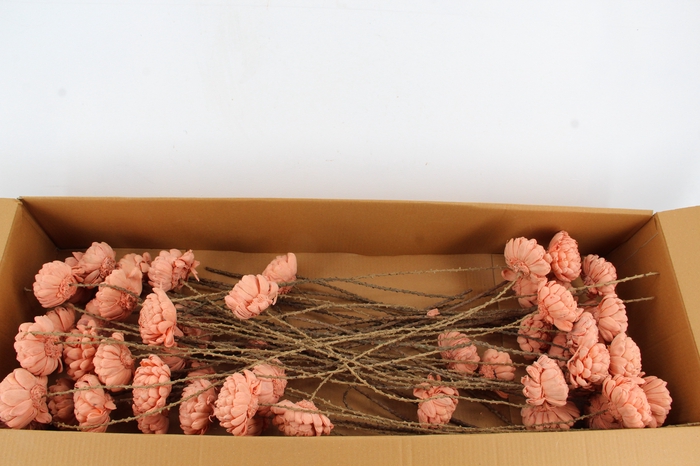 <h4>Stick Shola Artichoke Ø12 Salm</h4>