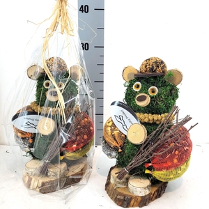 Baby beer Kado folie