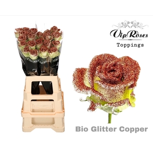 R GR BIO GLITTER COPPER x20