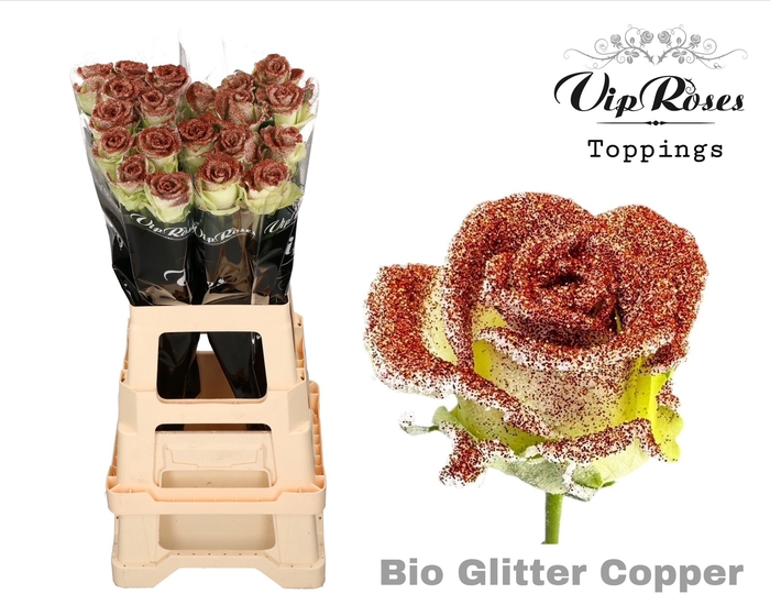 <h4>R GR BIO GLITTER COPPER x20</h4>