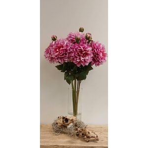 DAHLIA SPRAY BEAUTY FL440363BEA L60