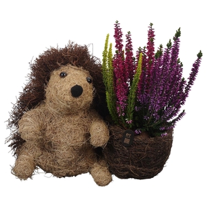 Arr.   Tuinplanten L%