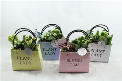 <h4>ZKE01 MIX BAG SUMMER</h4>