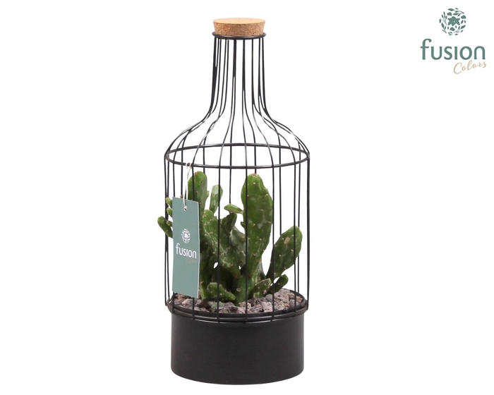 <h4>Metaal fles zwart Small met Cactussen</h4>