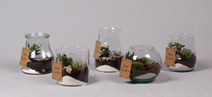 <h4>Glazen vazen mix met Succulenten</h4>