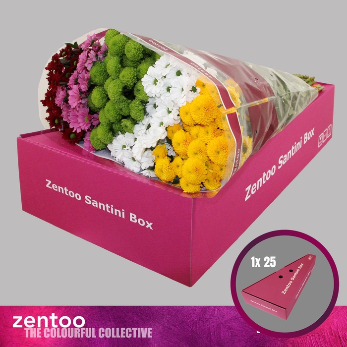 <h4>CHR S MIX WILD</h4>