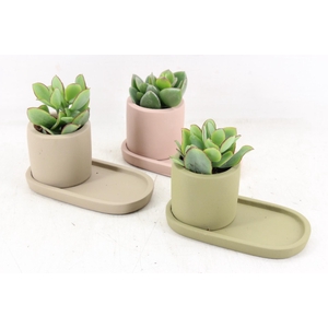 arr3 Demi - Ker. plateau mix