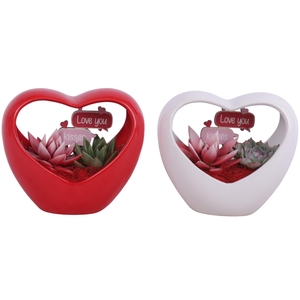 Valentine Arr. Succulent Ceramic Heartshape Bow Red/White Ø18cm