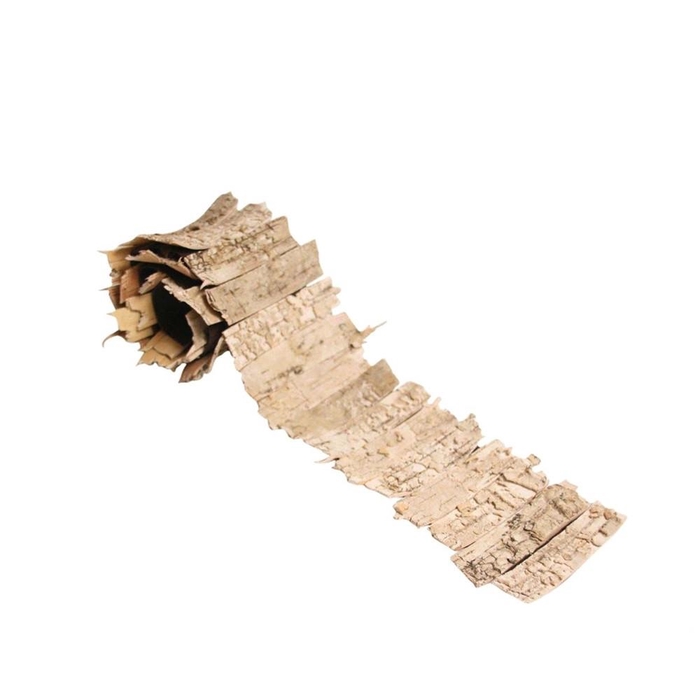 <h4>Dried articles Birch bark 90*11cm</h4>