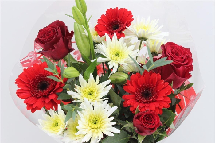 <h4>Boeket Splash Rood</h4>