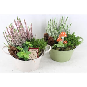arr4 Outdoor JS - Zink green white rond