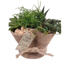 JMO16GMX Jute mand Ovaal D16 mini groenmix