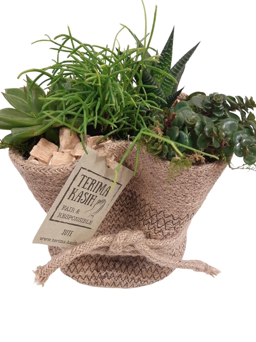 <h4>JMO16GMX Jute mand Ovaal D16 mini groenmix</h4>