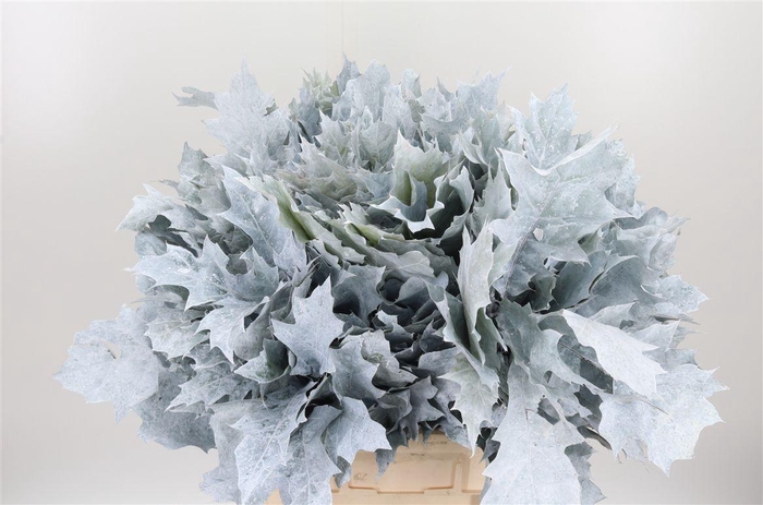 <h4>Eik Grof Frost Wit</h4>