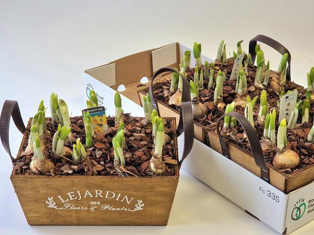 <h4>ARR N TETE A TETE</h4>