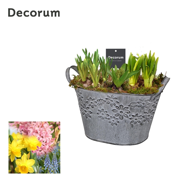 <h4>ARR BOL KNOLGEWAS</h4>