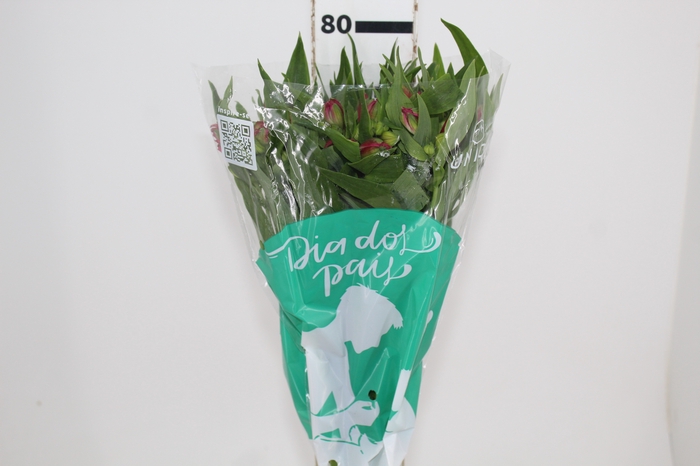 <h4>ALSTROEMERIA NIKITA 080 CM</h4>