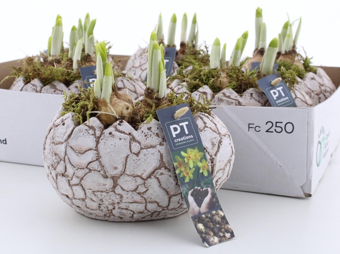 <h4>ARR N TETE A TETE</h4>