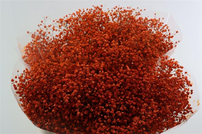 <h4>Gyps Grof Orange (dip)</h4>