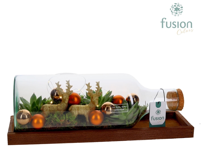 <h4>Green Bottle Fles Medium liggend Kerst met Arrangement met LED</h4>