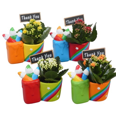 <h4>PTBTS1804 Arrangementen kamerplanten</h4>