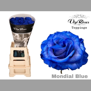 R GR BLUE MONDIAL BLUE