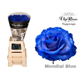 R GR BLUE MONDIAL BLUE