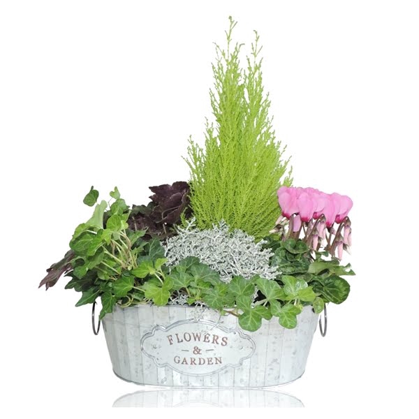 <h4>Collectie Dex Arrangement in Zinken Schaal Ovaal 30 cm</h4>