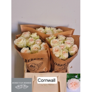 R GR CORNWALL