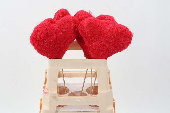 <h4>Red Cocos Fiber Hearts</h4>