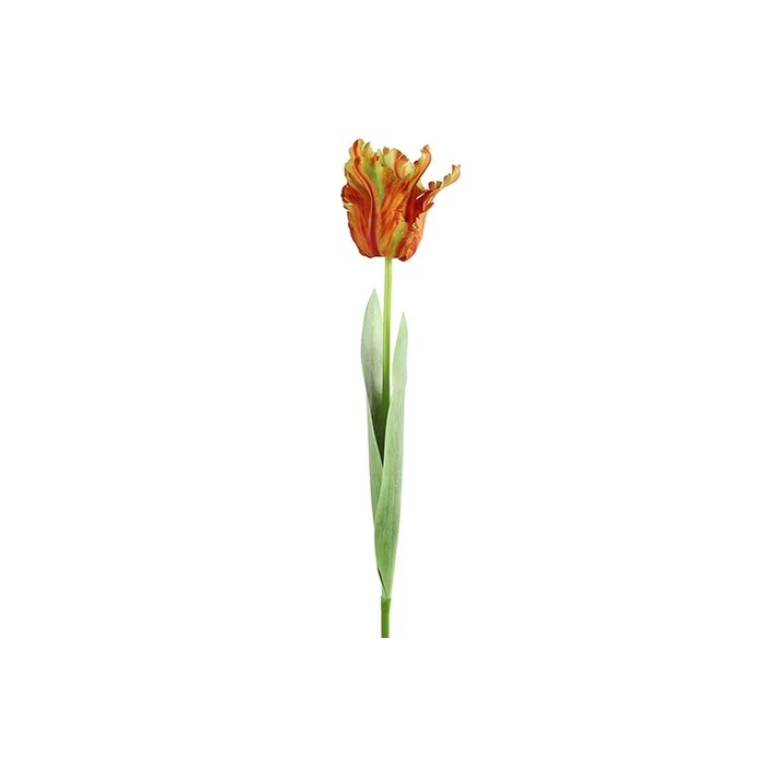 <h4>Af Tulipa H69cm Orange</h4>