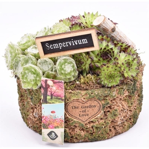 Cement pot label groen/bruin 17cm