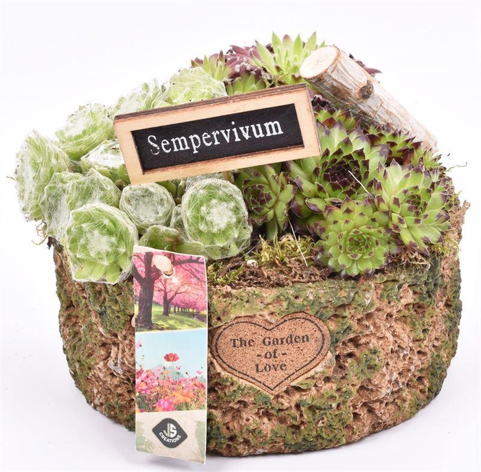 <h4>Cement pot label groen/bruin 17cm</h4>