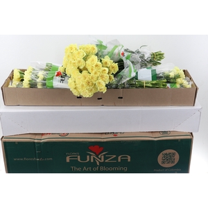 Di St Hermes Yellow Box