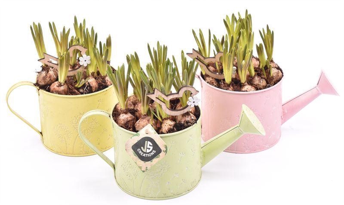 <h4>Zink gieter 14cm</h4>