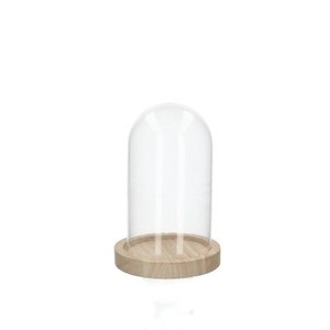 Glass Cloche+wood d08*14cm