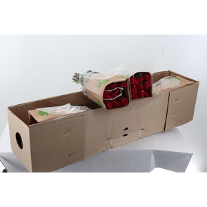 R Gr Jacaranda Box Fu