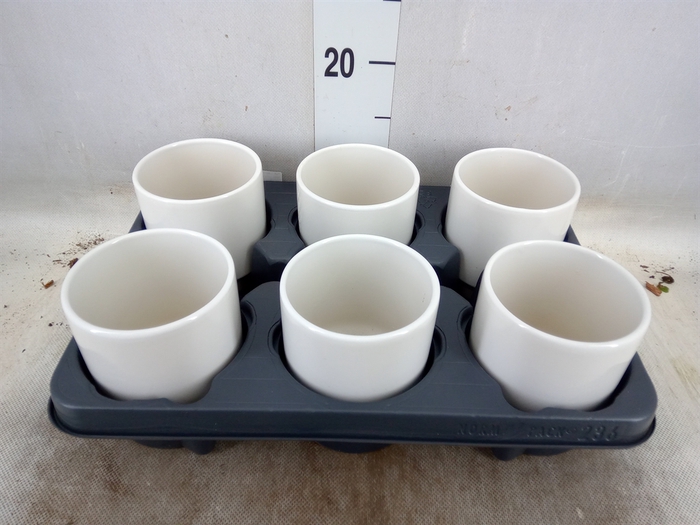 <h4>Pot   ...Keramische H%</h4>