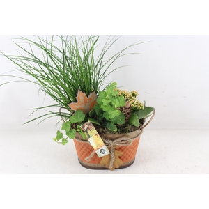 arr2 JS - Zink ovaal herfst x4