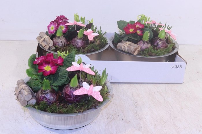 <h4>ARR PL IN SCHAAL</h4>