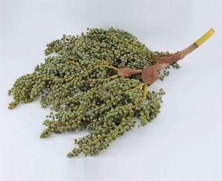 <h4>Dadels Tros 7kg</h4>