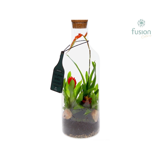 Green Bottle Fles Medium met Bromelia